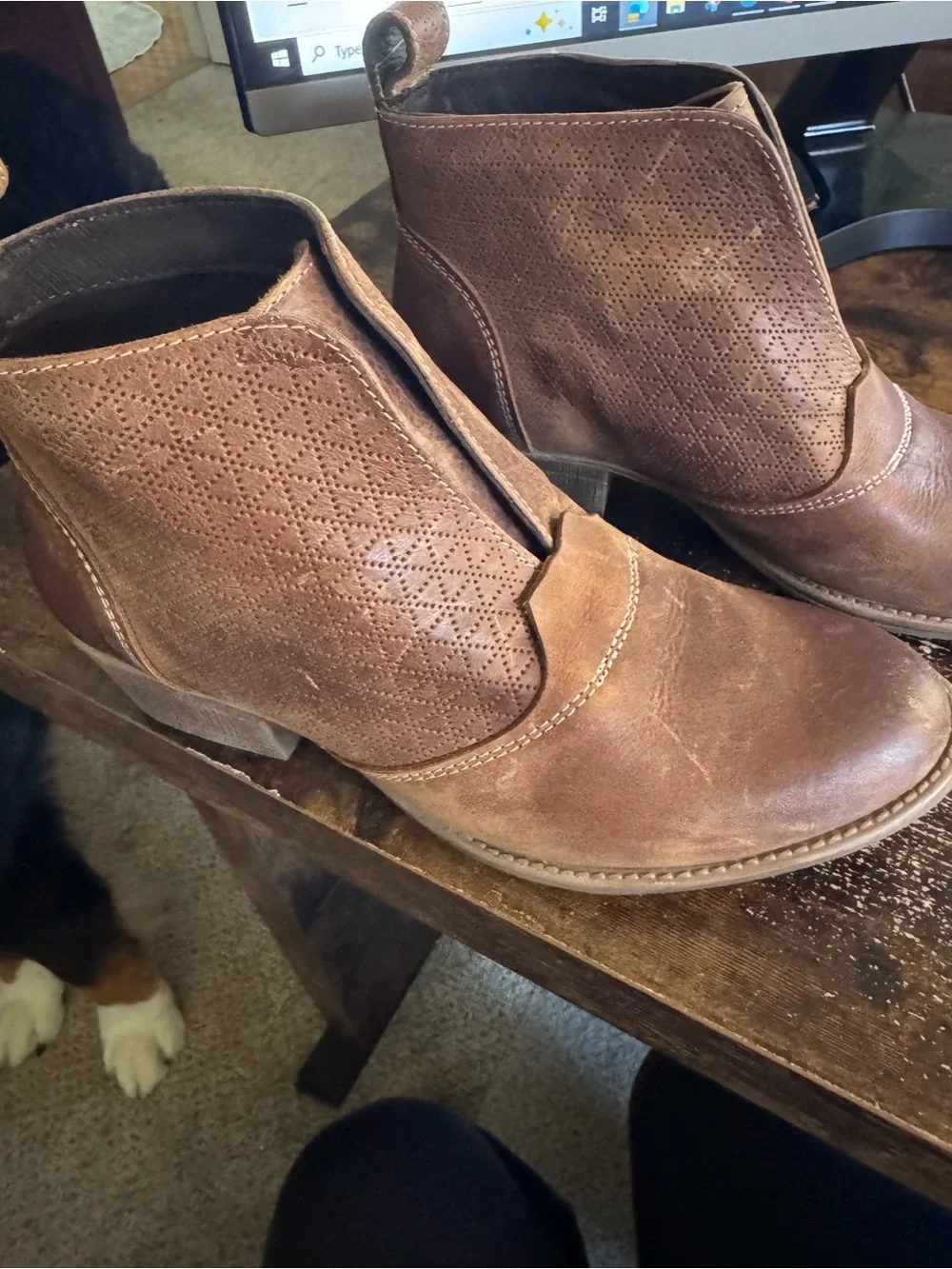 ROAN stylish brown